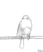 European robin Printable Coloring Nplooj Ntawv